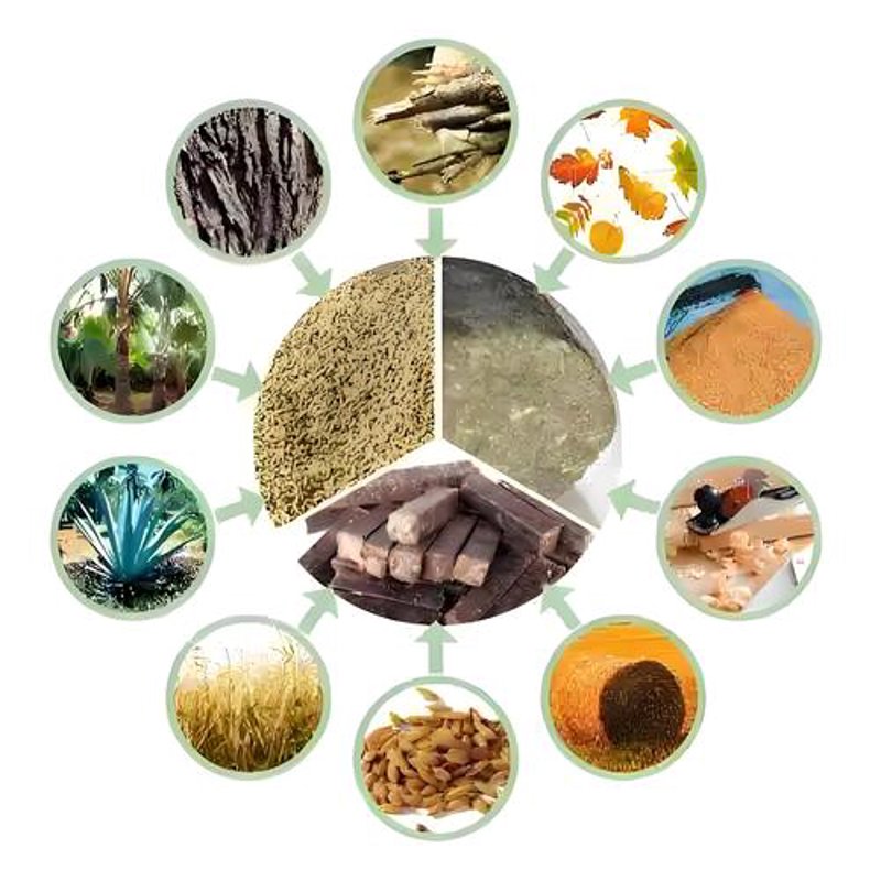 生物质能
